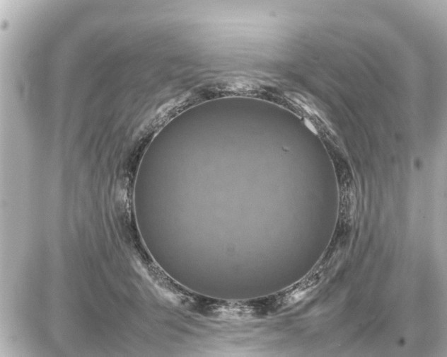 X0000087050415200704251009