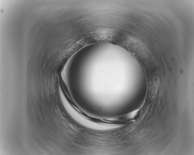 X0000087050416200704251009