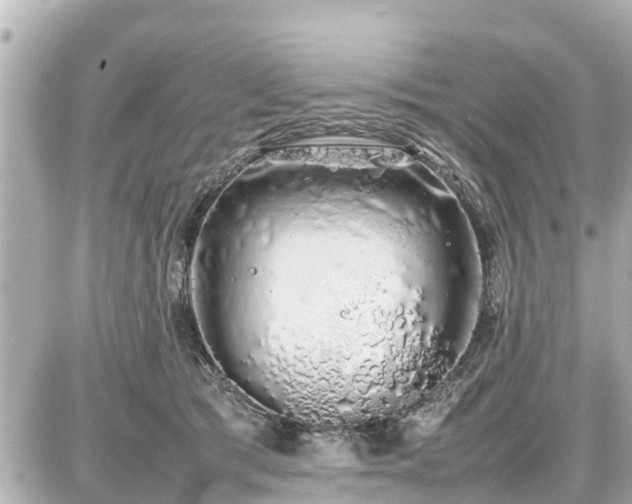 X0000087050417200704251009