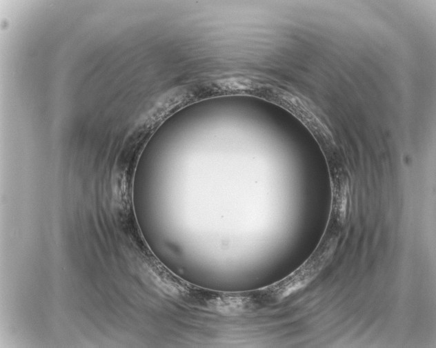 X0000087050418200704251009