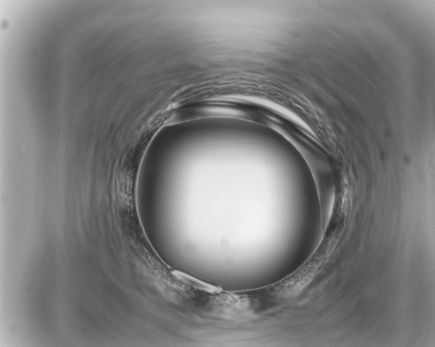 X0000087050421200704251009