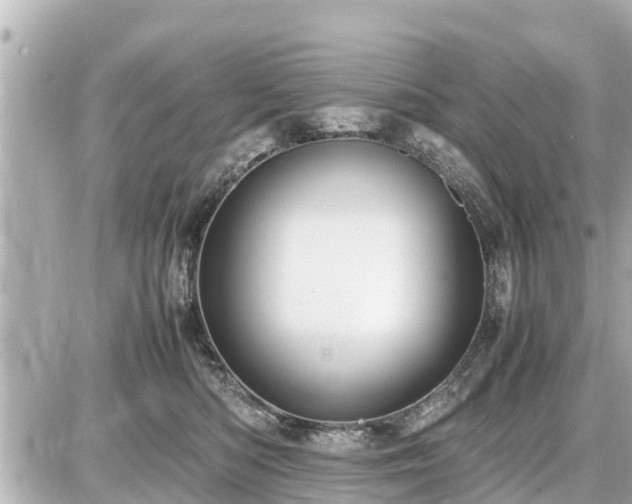 X0000087050422200704251009