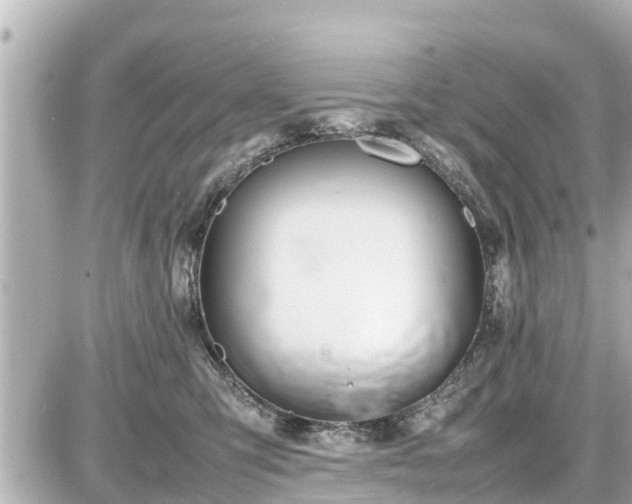 X0000087050423200704251009