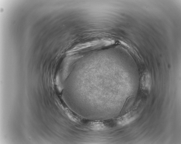 X0000087050424200704251009