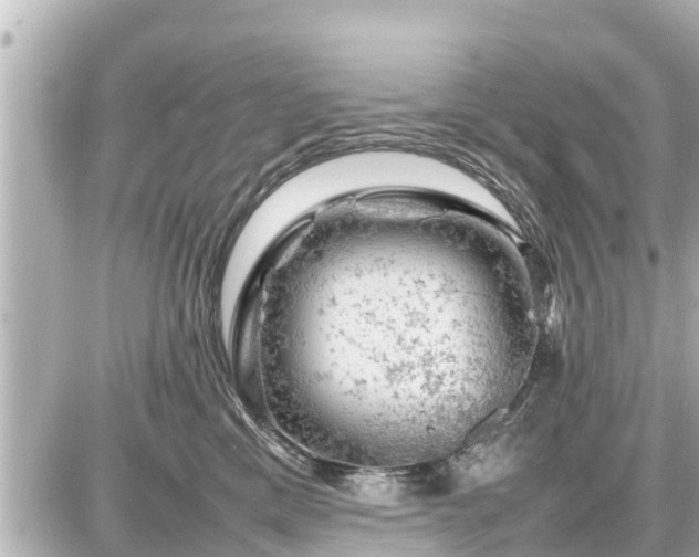 X0000087050425200704251009