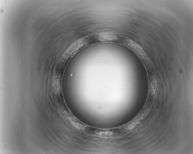 X0000087050426200704251009