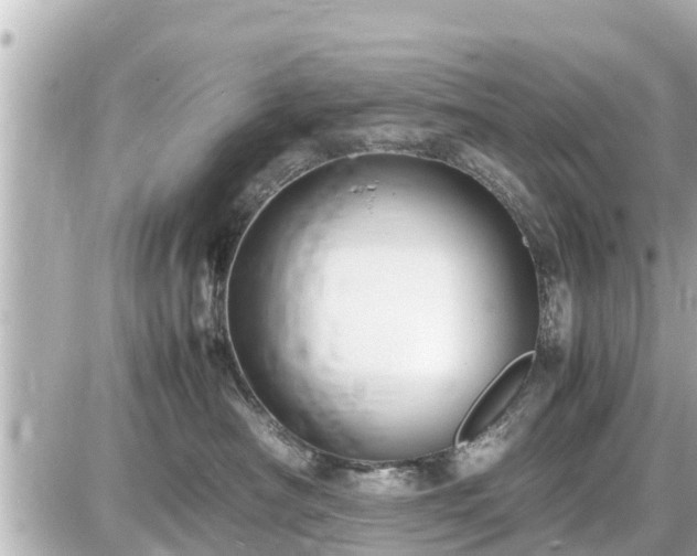 X0000087050430200704251009