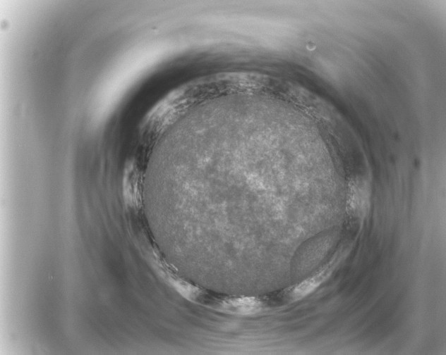 X0000087050431200704251009