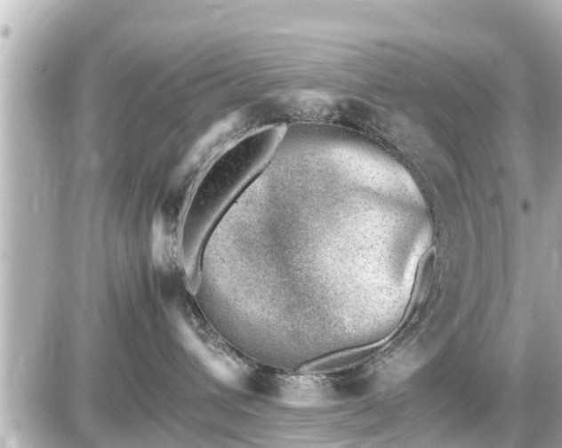 X0000087050432200704251009