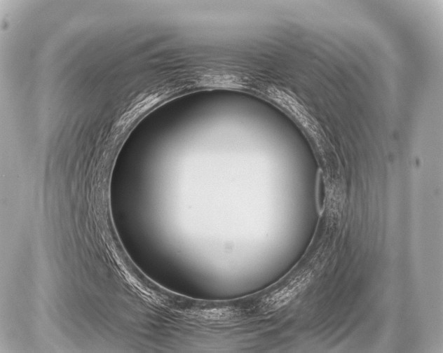 X0000087050433200704251008