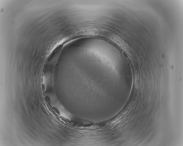 X0000087050434200704251008