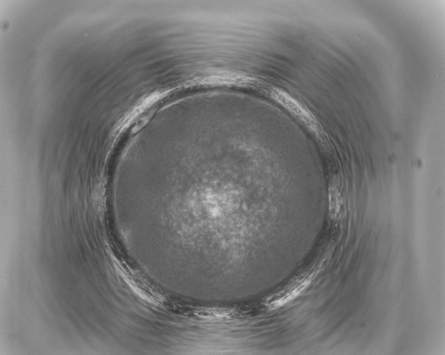 X0000087050436200704251008