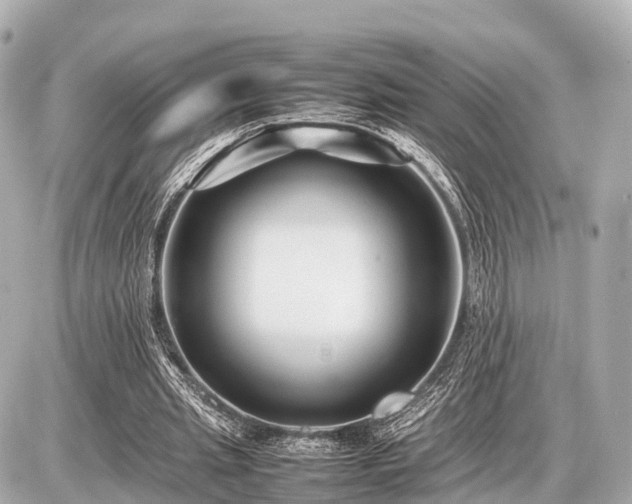 X0000087050437200704251008