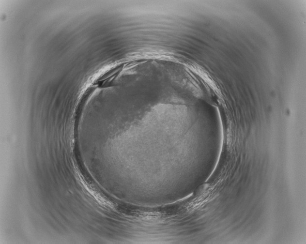 X0000087050438200704251008