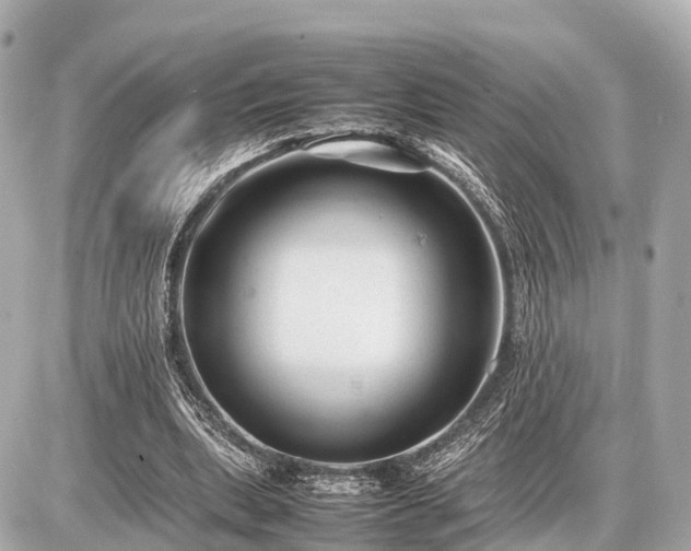 X0000087050439200704251008