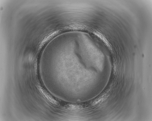 X0000087050442200704251008