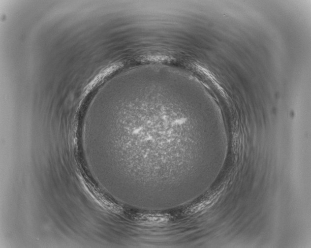 X0000087050443200704251008