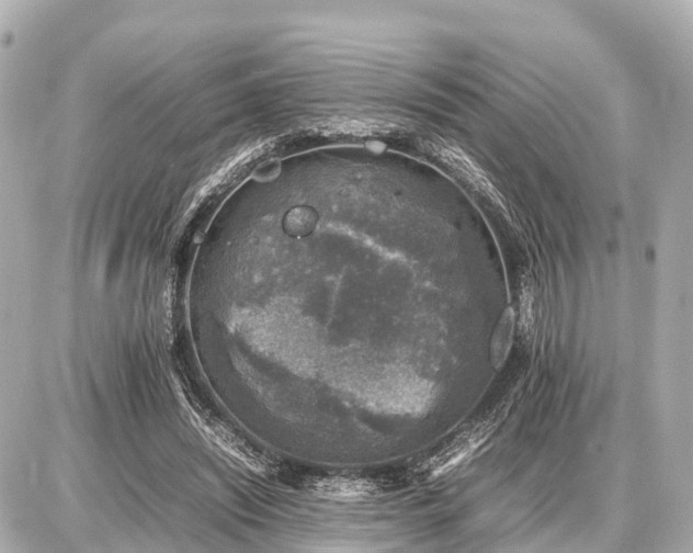 X0000087050444200704251008