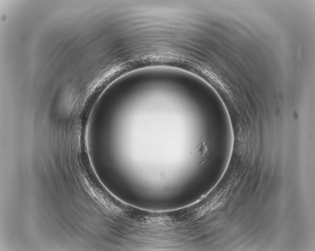 X0000087050446200704251008