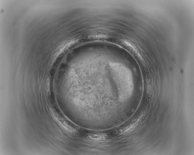 X0000087050447200704251008