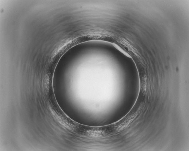 X0000087050448200704251008