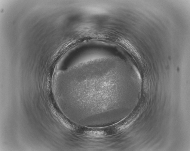 X0000087050449200704251008