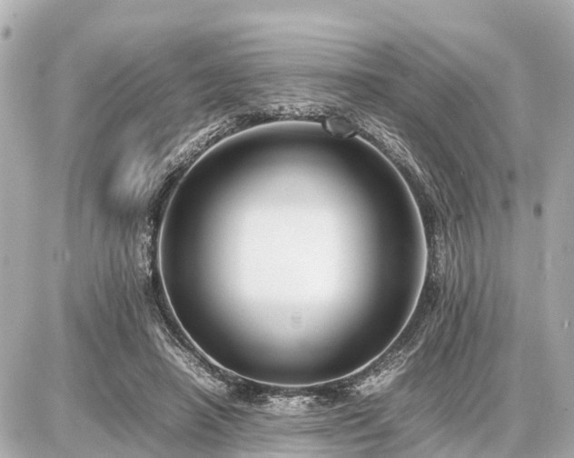 X0000087050450200704251008