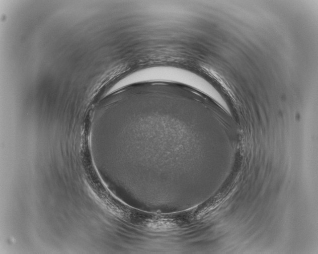 X0000087050451200704251008