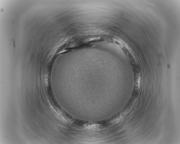 X0000087050452200704251008