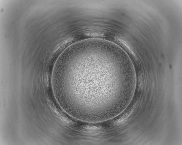 X0000087050453200704251008