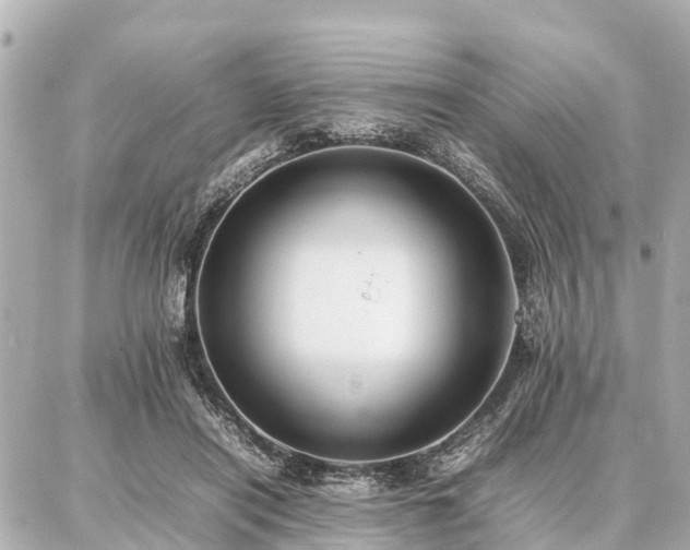 X0000087050454200704251008