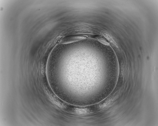 X0000087050457200704251008