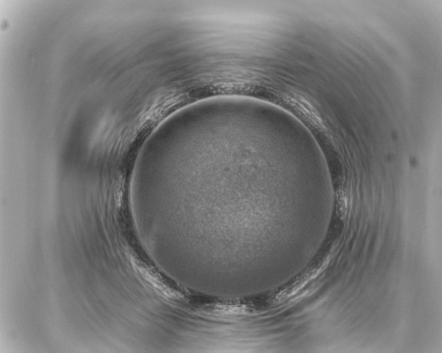 X0000087050458200704251008