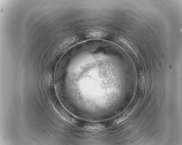 X0000087050459200704251008