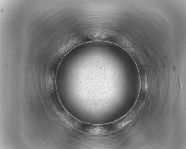 X0000087050460200704251008