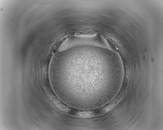 X0000087050461200704251008