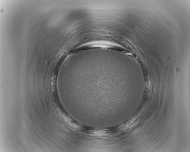 X0000087050462200704251008