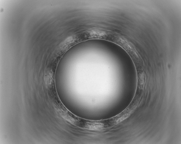 X0000087050463200704251008