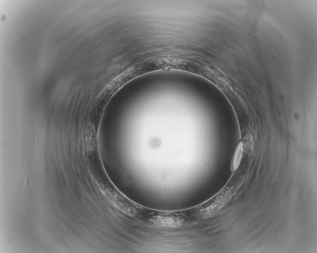 X0000087050464200704251008