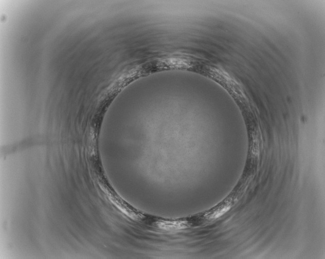 X0000087050465200704251008