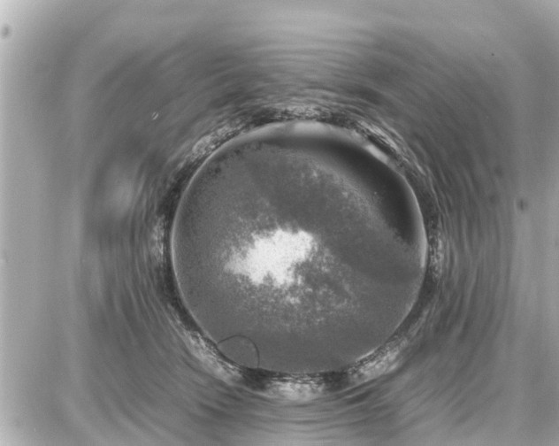 X0000087050466200704251008