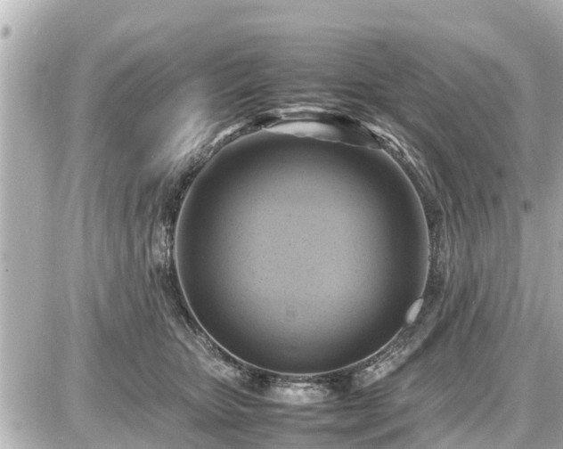 X0000087050467200704251008