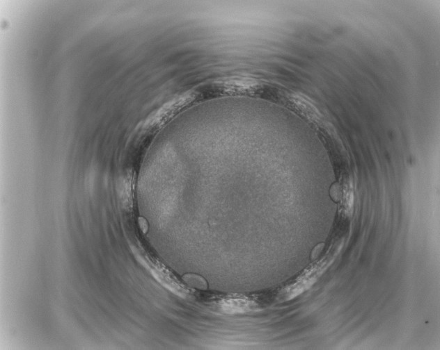 X0000087050468200704251008