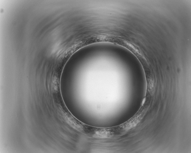 X0000087050470200704251008