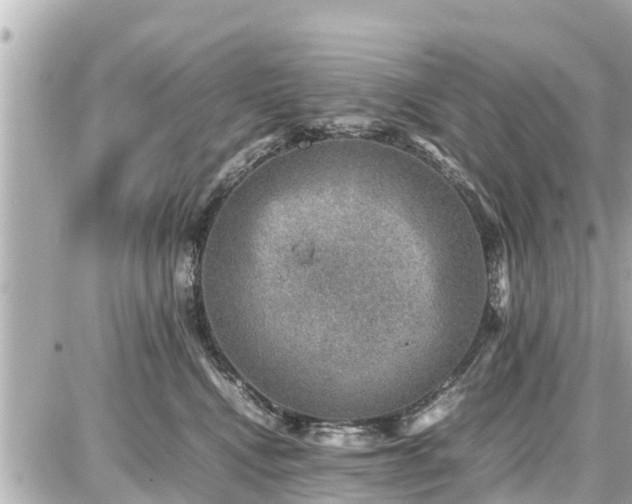 X0000087050472200704251008