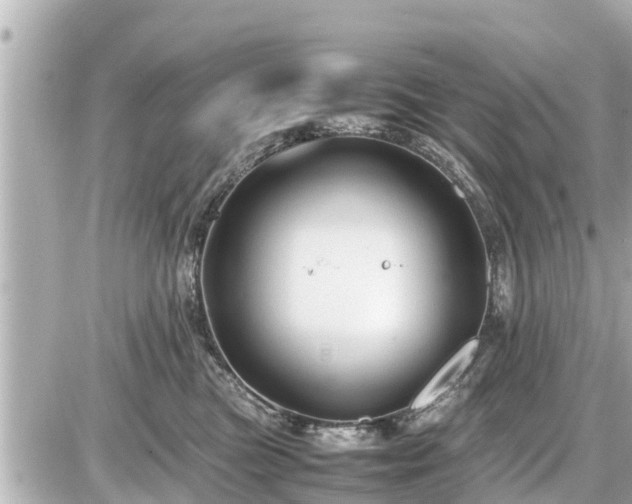 X0000087050473200704251008