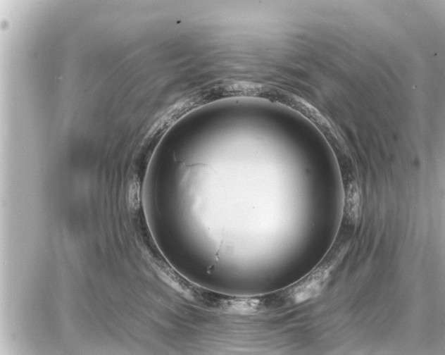 X0000087050474200704251008