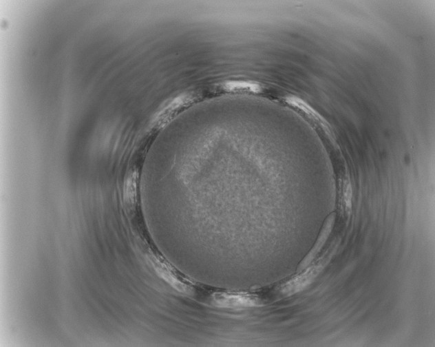 X0000087050475200704251008