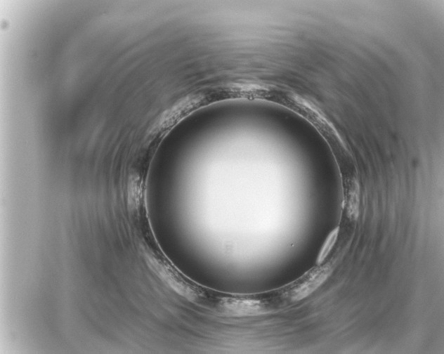 X0000087050476200704251008