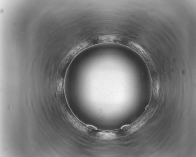 X0000087050477200704251008